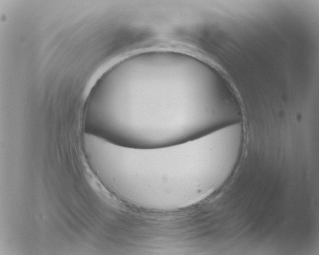 X0000051911530200507152017