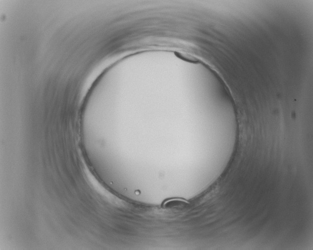 X0000051911531200507152017