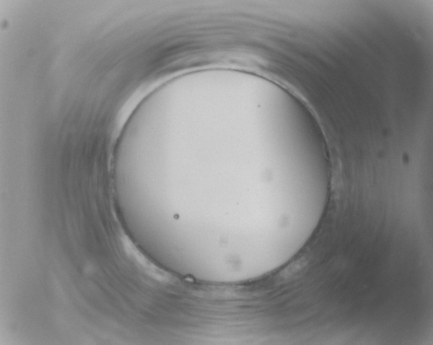 X0000051911532200507152018