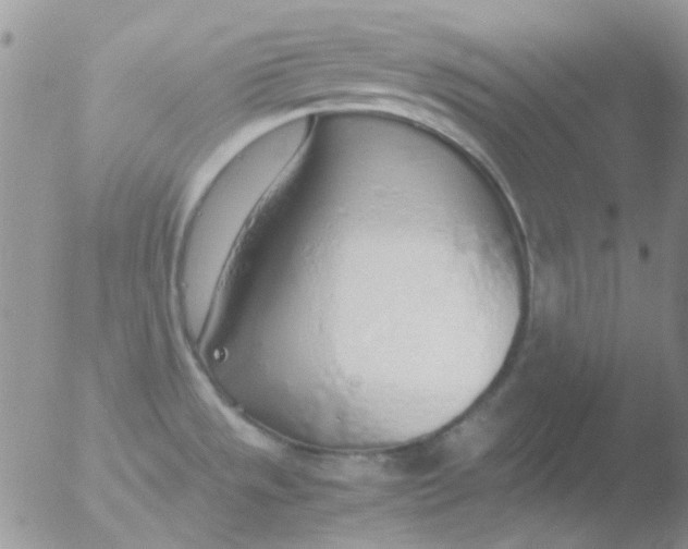 X0000051911533200507152018