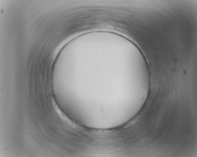 X0000051911534200507152018