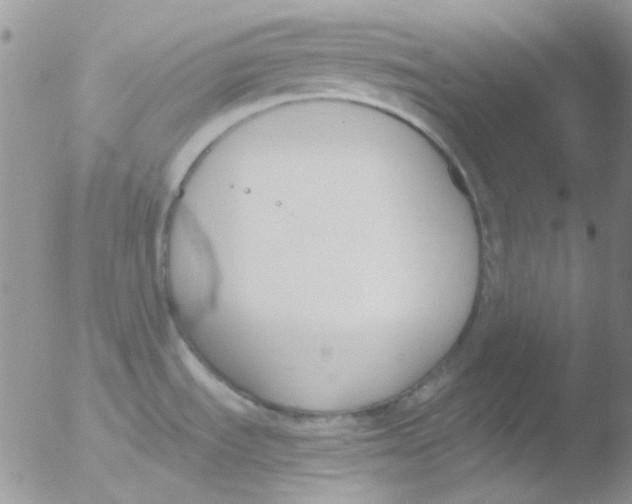 X0000051911535200507152018