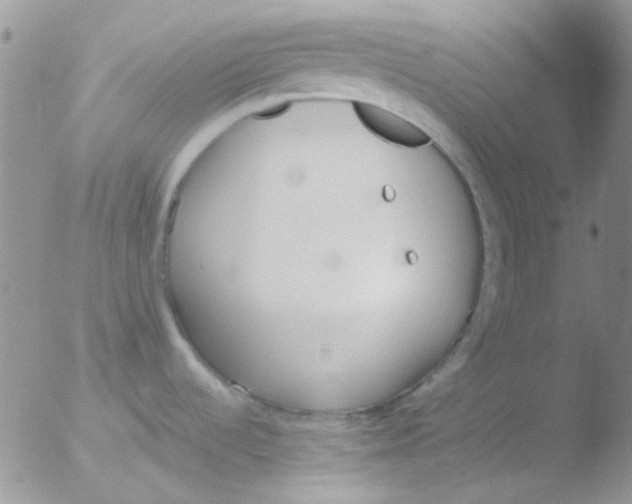 X0000051911536200507152018