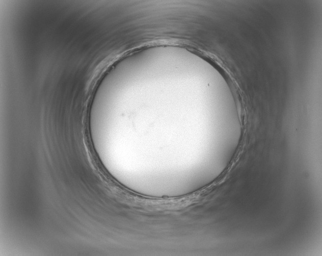 X0000051910001200507222120