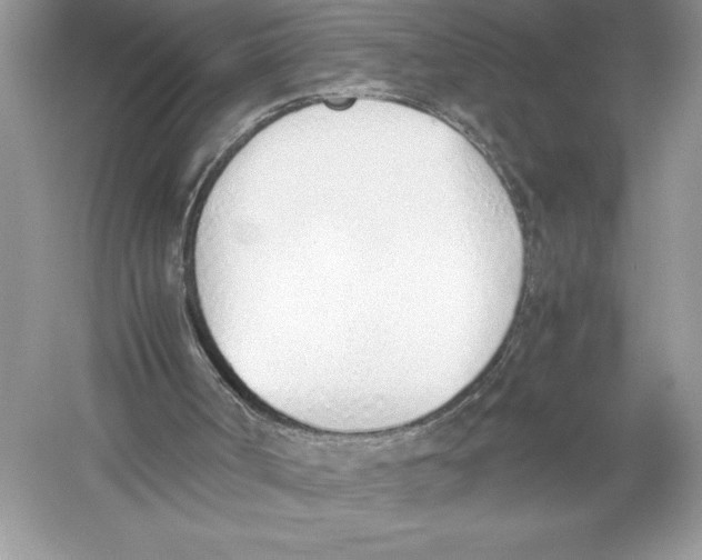 X0000051910002200507222120