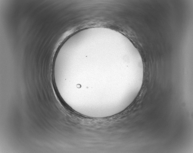 X0000051910003200507222120