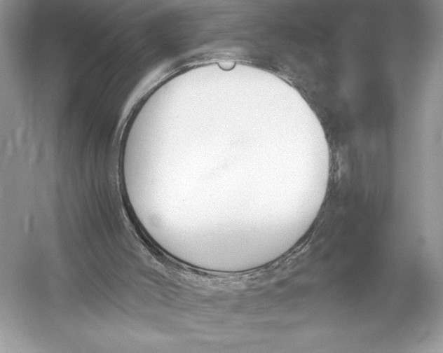 X0000051910004200507222120