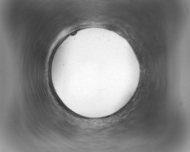 X0000051910006200507222120