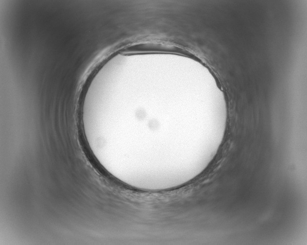 X0000051910007200507222120