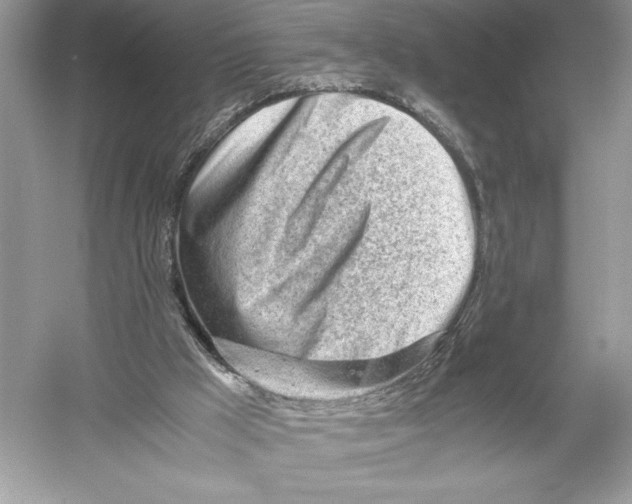 X0000051910009200507222120