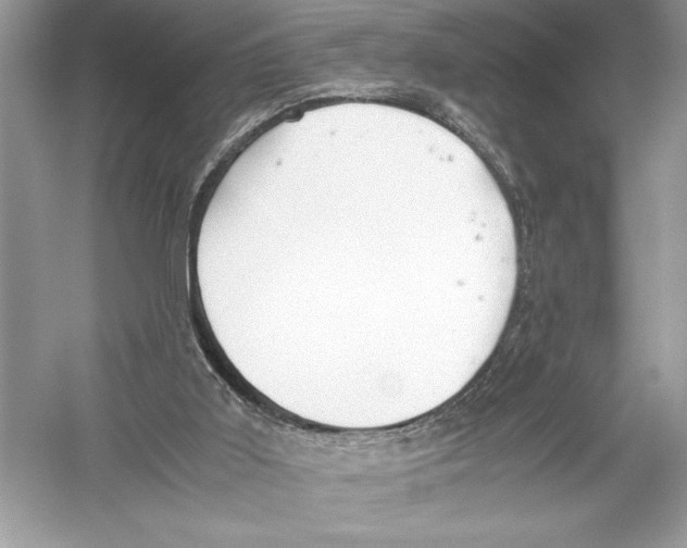 X0000051910011200507222120