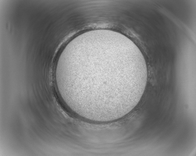 X0000051910012200507222120