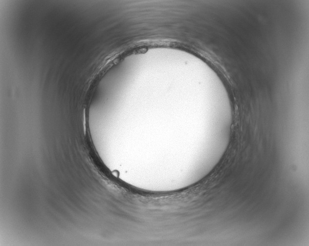 X0000051910013200507222120