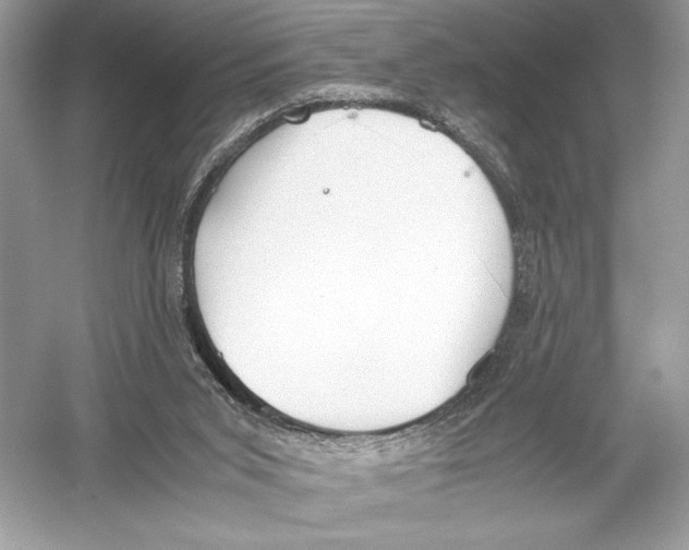 X0000051910015200507222120