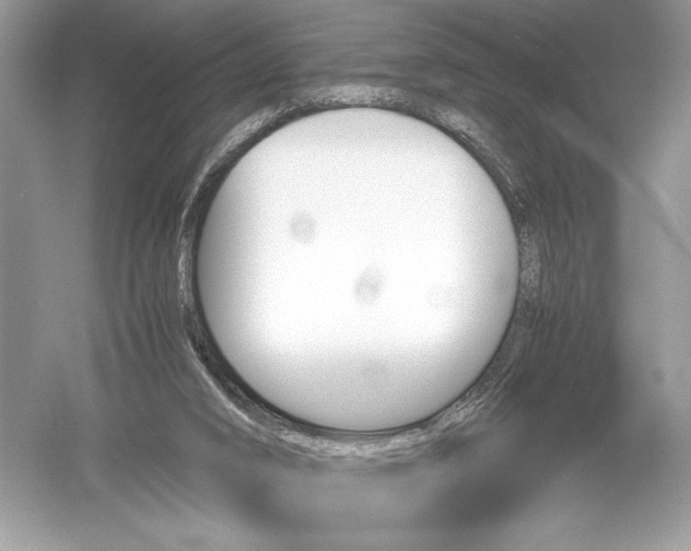 X0000051910016200507222120