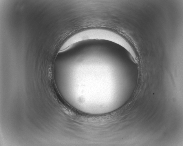 X0000051910017200507222120