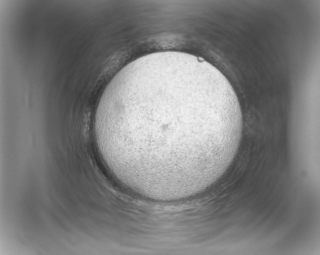 X0000051910018200507222120