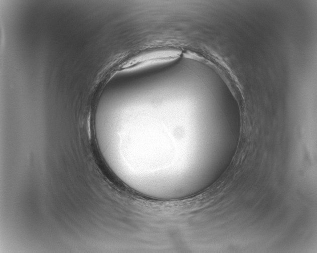 X0000051910019200507222120