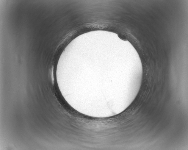 X0000051910020200507222120