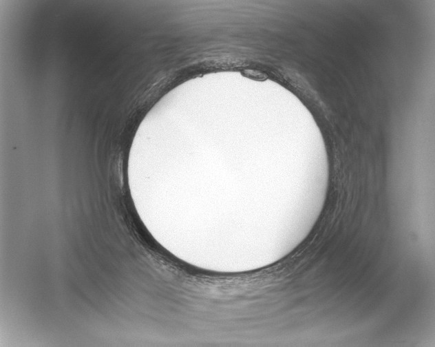 X0000051910021200507222120