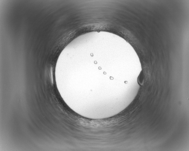 X0000051910022200507222120