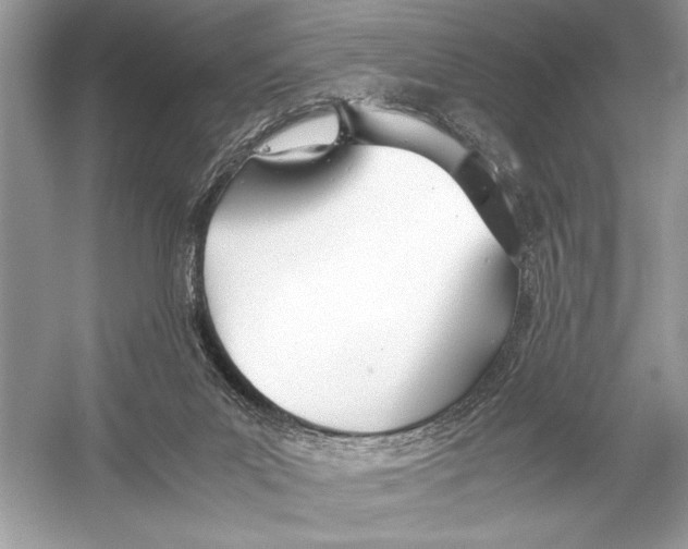 X0000051910023200507222120