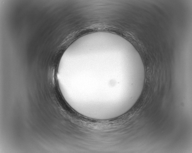 X0000051910024200507222120