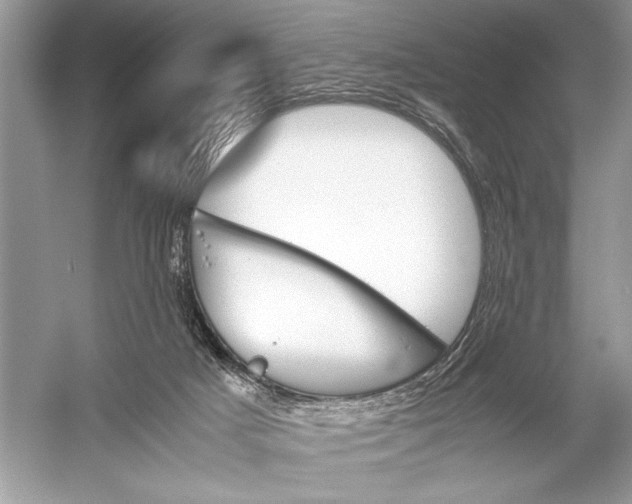 X0000051910025200507222120