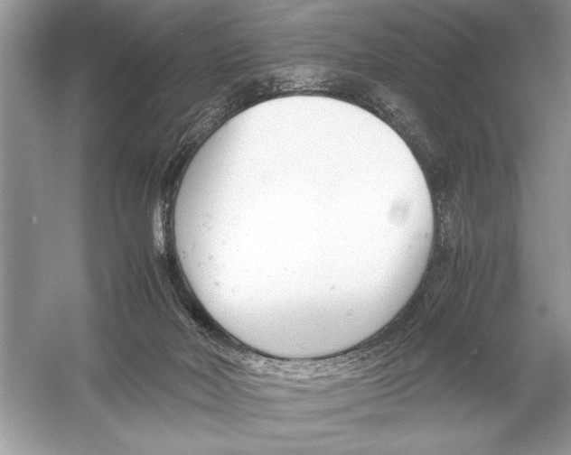 X0000051910026200507222120