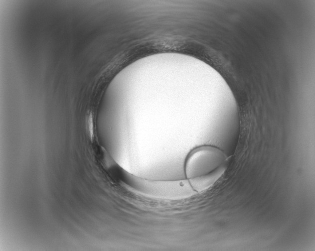 X0000051910027200507222120