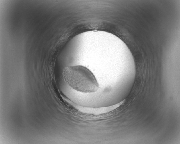 X0000051910031200507222120