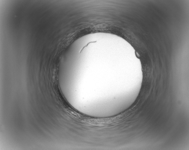 X0000051910033200507222120