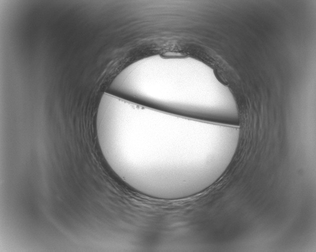 X0000051910035200507222120