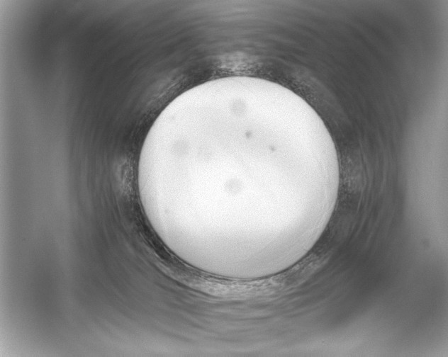 X0000051910036200507222120