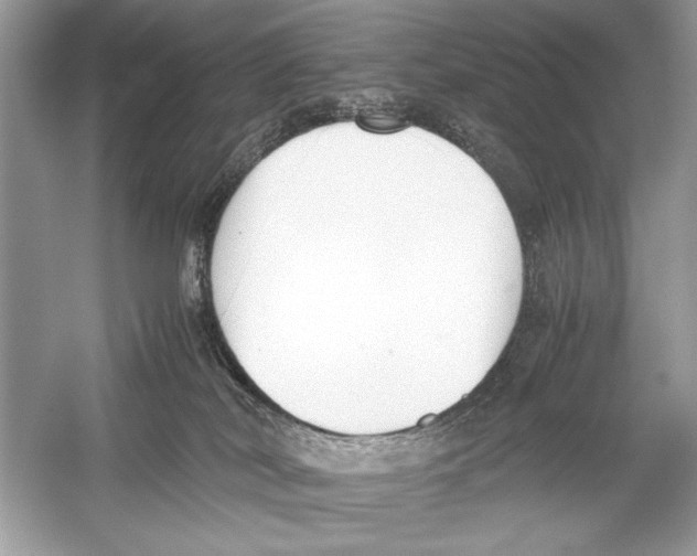 X0000051910038200507222120