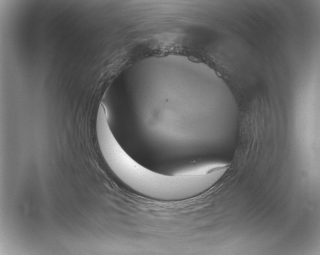 X0000051910039200507222120