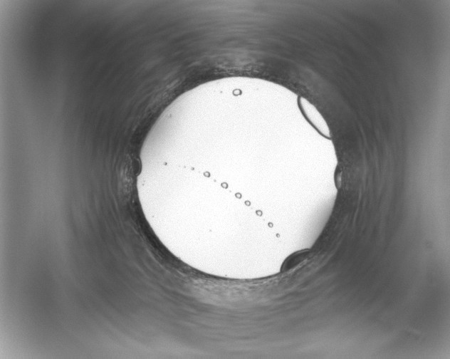 X0000051910040200507222120