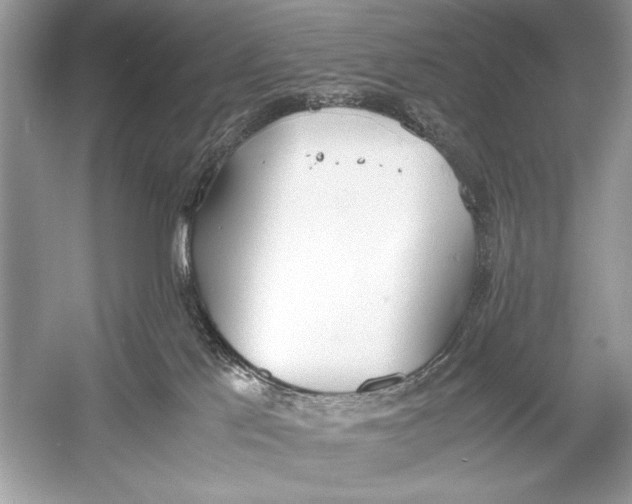 X0000051910041200507222120