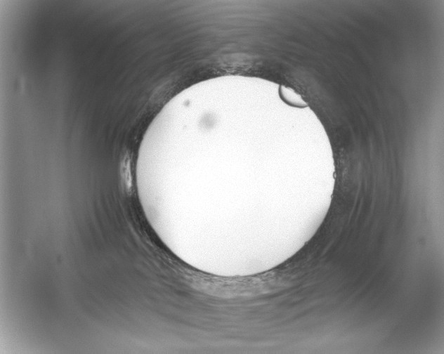 X0000051910042200507222120