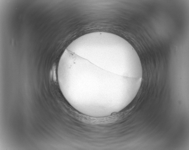 X0000051910046200507222120