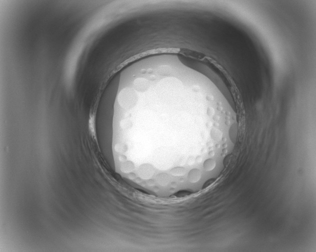 X0000051910047200507222119