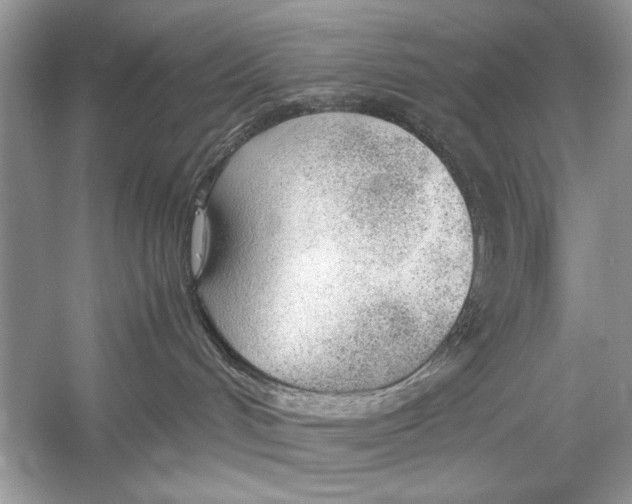 X0000051910048200507222119