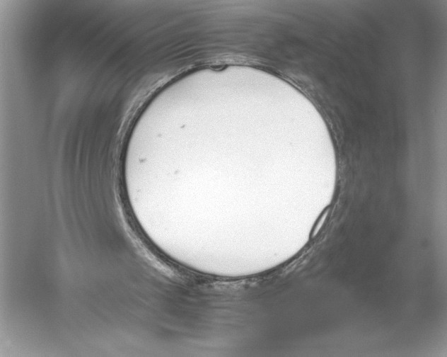 X0000051910049200507222119