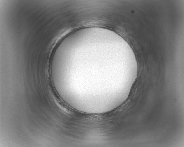 X0000051910050200507222119