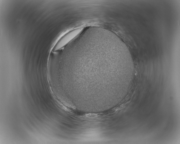 X0000051910052200507222119