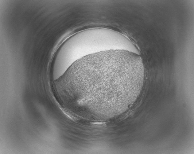 X0000051910053200507222119