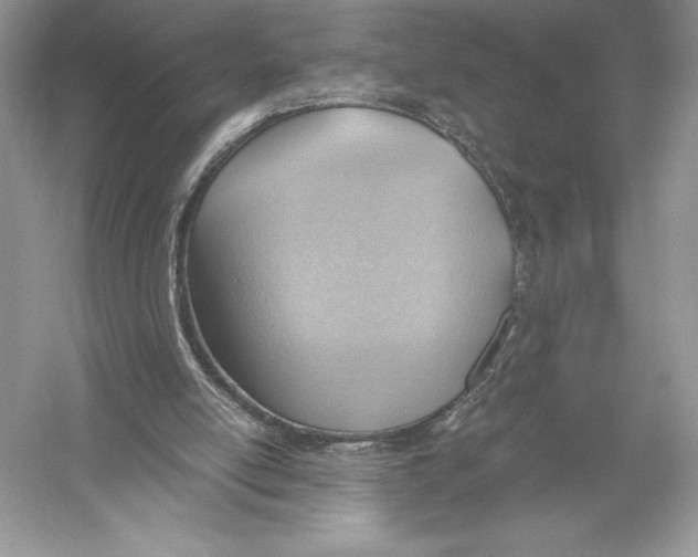 X0000051910054200507222119