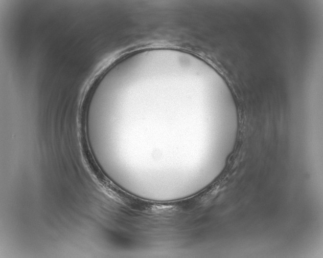 X0000051910055200507222119