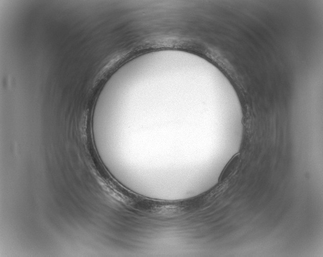 X0000051910058200507222119