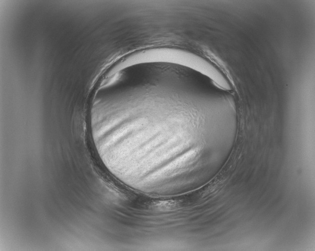 X0000051910059200507222119